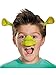 Disguise Shrek Kit Costume