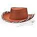 3 Children's Woody Felt Cowboy Hats in Pink, Red and Brown Toy Story Hat