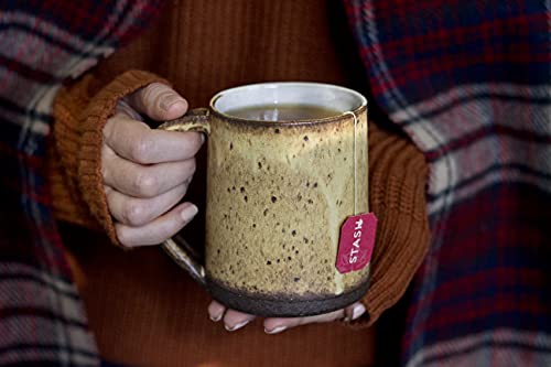 STASH TEA HOLIDAY CHAI TEA 18 COUNT TEA BAGS (PACK OF 6), INDIVIDUAL SPICED BLACK TEA BAGS FOR USE IN TEAPOTS MUGS OR CUPS, BREW HOT TEA OR ICED TEA