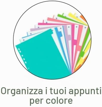 Divisori A4 10 posizioni 10 colori