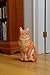 Fiddler's Elbow Ginger Cat Door Stop, Decorative Door Stopper, Interior Ginger Cat Statue, Ginger Cat Lovers