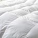 Luxurious 800 Thread Count Hungarian Goose Down Comforter Duvet Insert - Full/Queen Size, 750 Fill Power, 50 oz Fill Weight, 100% Egyptian Cotton Cover