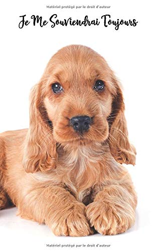 Je Me Souviendrai Toujours Carnet De Mots De Passe Cocker Spaniel Anglais Chien 109 Pages Pour 432 Entrees Plus Petit Que Le Format A5 Sans Du