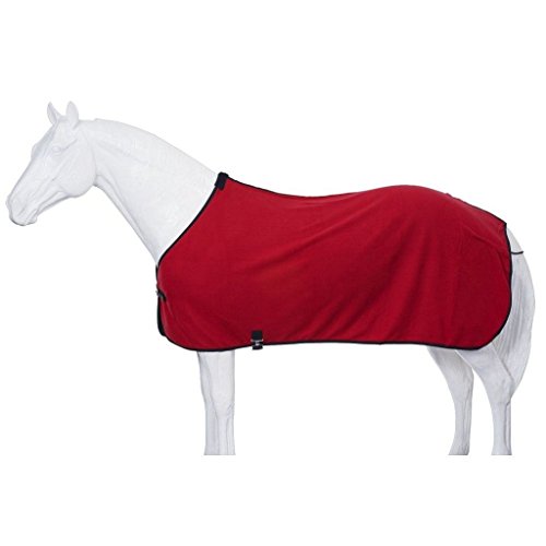 The Best Horse Blankets Dogtime