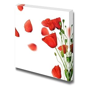 Canvas Prints Wall Art - Beautiful Poppy with Flying Petals | Modern Wall Decor/Home Art Stretched Gallery Wraps Giclee Print & Wood Framed. Ready to Hang - 12" x 12"