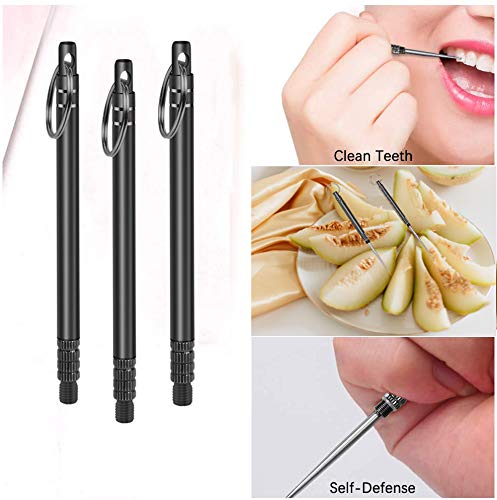 Stainless Steel Toothpick Set(3pcs),Metal Toothpick,Resuable Titanium Toothpick, KeychainToothpick Holder for Teeth, Travel Camping Picnic Hiking Supplies, Black