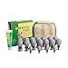 MQ Chinese Biomagnetic Cupping Therapy Set Acupressure Therapy Massage Tool for Pain Relief - 18-Cup Vacuum Suction Cupping Set