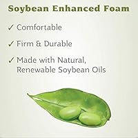 sealy soybean changing pad