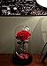 Homeseasons “ Beauty and the Beast ”- Enchanted LED Red Rose in Glass Dome