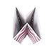 DII Non Woven Polyester Storage Bin, Chevron, Rose, Small Set of 2