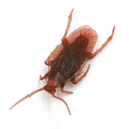 Cooplay 10pcs Vintage Mock Fake Plastic Roach Cockroach Insects Joke Toys Prank Scary Trick Bugs for Party