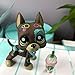 Judy lps Graet Dane Dog #1439 Tattoo Puppy with lps Accessories Starbucksd Kids Collectable Figures