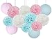 Furuix Gender Reveal Party Decorations Boy or Girl Baby Shower Decorations Baby Blue Pink Tissue Paper Pom Pom Flowers Paper Lanterns for Birthday/Pink and Blue Decorations/Gender Reveal Decorations
