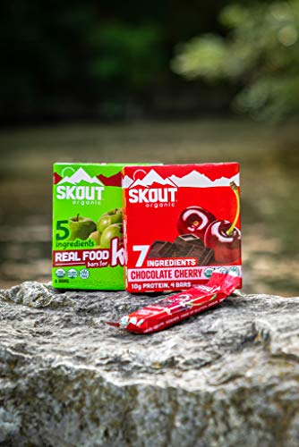 SKOUT Organic Protein Bars - Chocolate Cherry - Vegan Snacks - Plant Based Protein - Non-GMO - Gluten Free, Dairy Free, Soy Free - No Refined Sugar - 1.9 oz (4 Count)