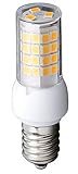 E11 Base LED Light Bulb by 2TECH, 4.5W (45-Watts Equivalent), 450 Lumens, 110V-130V, 2700K (Warm White), Mini-Candelabra Halogen Replacement