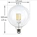10W G40 Led Bulb LuxVista Globular Shape Edison Filament Bulb Medium Screw E26/ E27 Base for Patio String Lights Soft Warm White 2700K 100W Incandescent Replacement Bulb