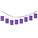 Accordion Style Paper Lantern Garlands | New Purple | Party Decor