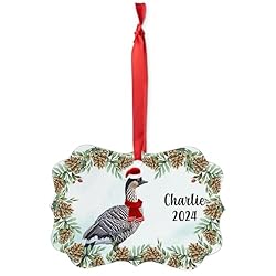 Nene Goose Christmas Ornament 2024 - Personalized