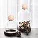 Wood Round Ball 3 Inch - Pack of 3 Wood Ball, Natural Unfinished Wooden Round Ball Craft Ball, Sanded Smooth, Solid Wood