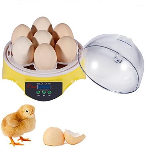 Egg Incubator, Chicken Duck Goose Birds Egg Hatcher, Digital Home Mini Hatching 7 Egg Capacity Incubator Yellow and Clear