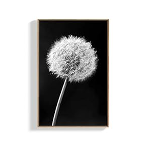 for Living Room Bedroom Black and White Plants Framed for