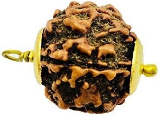 Aurra Store 5 Mukhi Rudraksh Pendant…