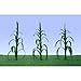 JTT Scenery Products Flowering Plants, Corn Stalks, 1