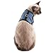 SCENEREAL Escape Proof Cat Harness and Leash - Adjustable Soft Mesh Vest Harness for Rabbits Puppy Kittens, L