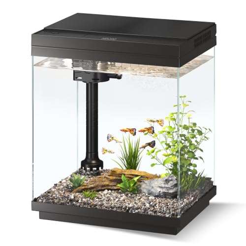 Juilsioa Betta Fish Tank Kit