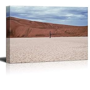 signwin Canvas Wall Art Desert Canvas Prints Home...