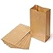 AJM Brown Paper Lunch Bag Recyclable Biodegradable, 40 Count (Pack of 6)