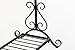 NEUN WELTEN Chic Garment Rack Metal Hanging Clothes Clothing Racks Stand with Bottom Shelf for Shoes (Black)