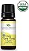 Plant Therapy Ylang Ylang Complete Organic Essential Oil 100% Pure, Undiluted, Natural Aromatherapy, Therapeutic Grade 10 mL (1/3 oz)