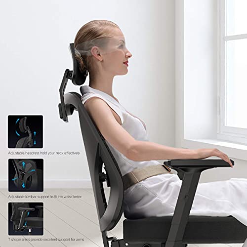 Hbada Ergonomic Office Desk Chair with Adjustable Armrest, Lumbar