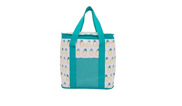 D-Mail Bolsa Nevera térmica 20 litros - piña: Amazon.es: Jardín