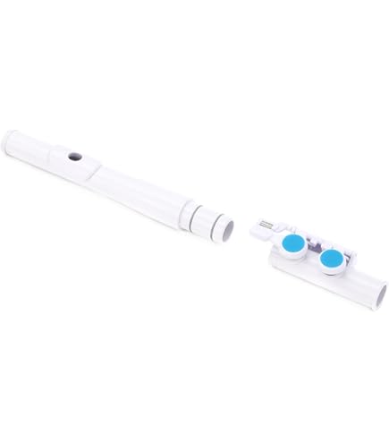 Amazon.com: Nuvo jFlute 2.0, C Flute - Plastic, White/Pink, for