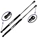 Two Rear Hatch Gas Charged Lift Supports for 2001-2004 Nissan Xterra. Left and Right Side. WGS-550-2