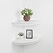 HAO Floating Corner Shelves Invisible Wall Mounted Radial Shape Corner Shelf for Wall Perfect for Bathroom Bedroom Living Room Kitchen Office 17 Inch Set of 2 White