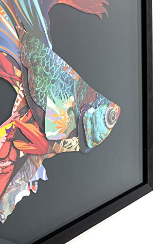 Kare-Design-Bild-Frame-Art-Betta-Fish-Colore-Right-Quadratisches-Bild-mit-Bilderrahmen-in-der-Farbe-Schwarz-Fisch-Motiv-in-bunten-Farben-65x65cm-HBT-65x65x3cm