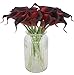 Duovlo 20pcs Calla Lily Bridal Wedding Bouquet Lataex Real Touch Artificial Flower Home Party Decor (Dark Red)