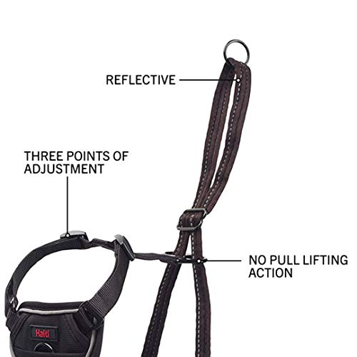 Halti No Pull Harness and Training Lead Combination Pack, Stop Dog