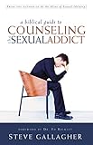 A Biblical Guide To Counseling The Sexual Addict by Steve Gallagher