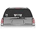 NFL Los Angeles Rams Home State Decal, 5