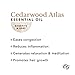 Edens Garden Cedarwood- Atlas Essential Oil- 100% Pure Premium Grade, Undiluted, Natural, Therapeutic, Aromatherapy, The Best for Diffuser, Candle, Laundry, Hair 10 ml (.33 fl oz)