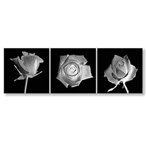 Wall26-3 Panel Canvas Wall Art- Elegant Flowers-Giclee Painting...