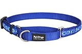 Red Dingo Designer Martingale Dog Collar, Small, Cosmos Dark Blue