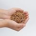 Euchirus 11LBs Non-GMO Dried Mealworms,High-Protein Larvae Treats Feed Molting Supplement for Birds Hens Ducks etc,Large Bulk Meal Worms Birds Chicken Food