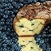 My Grandma BBSMC Small- 8 in.- 1.75 lbs New England Blueberry Coffee Cake