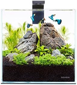 PICO SET Aquarium Kit with LED Lighting and Power Filter, 1,3 Gallon (5L) from ultra-transparent glass