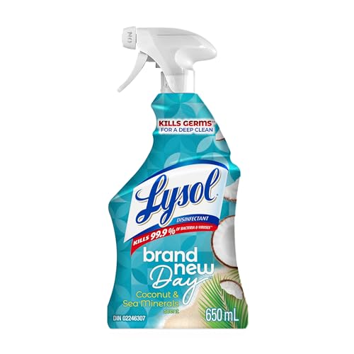 Lysol All Purpose Cleaner